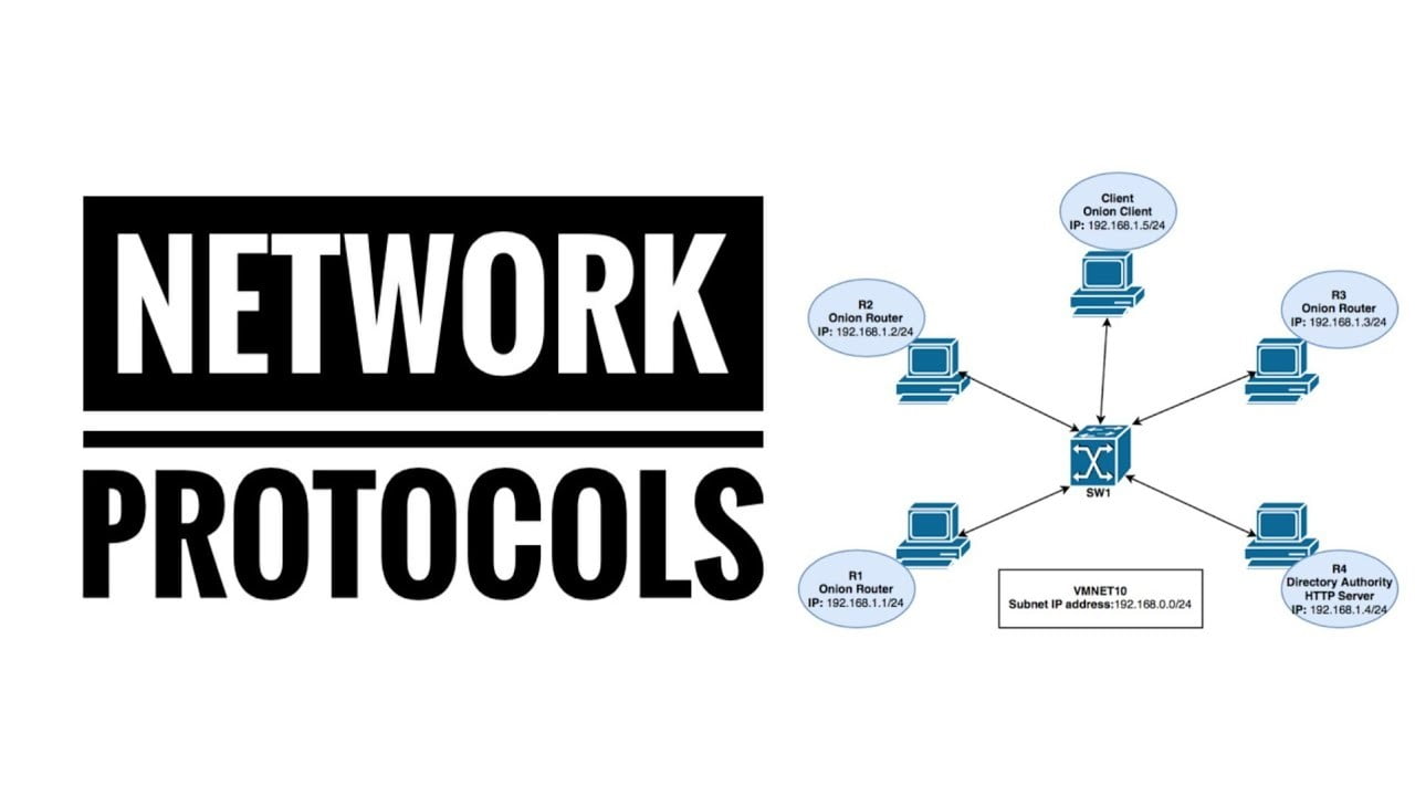 Common Network Protocols: HTTP, HTTPS, DNS, SMTP
